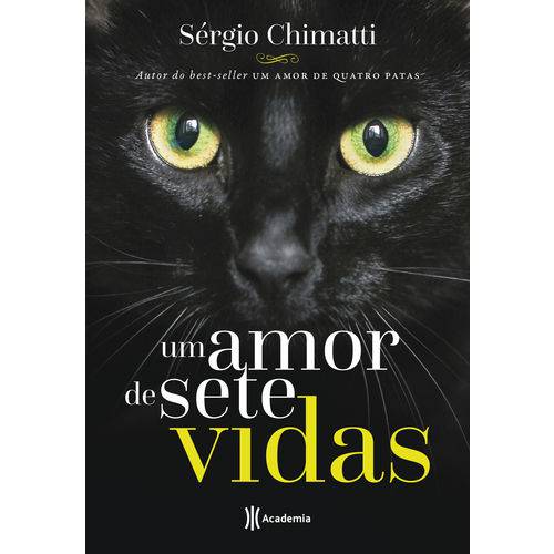 Um Amor de Sete Vidas - 1ª Ed.