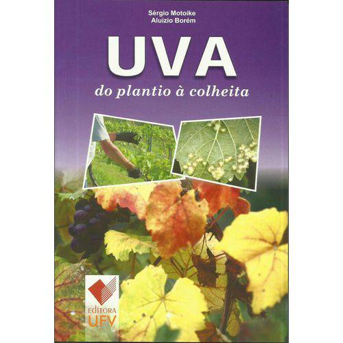 Uva do Plantio à Colheita