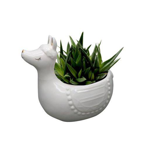 Vaso, Cachepot de Cerâmica Cute Lhama Branco Urban - H41032