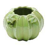 Vaso de Cerâmica Verde 14cm Cactos Prestige
