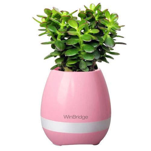 Vaso de Planta Abajur Musical Bluetooth Smart Music Flowerpot Rosa