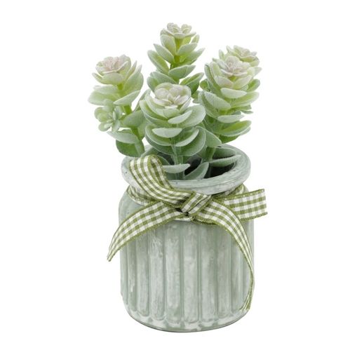 Vaso de Vidro Branco com Planta Sucullent Flower Urban