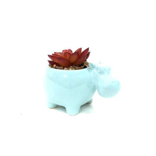 Vaso Decorativo com Suculenta Hipopotamo Azul