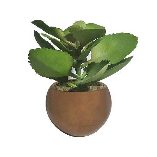 Vaso Decorativo Planta Suculenta Verde 12cm - D'Rossi