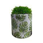 Vaso Embossed Green Leaves em Cerâmica - G 12,7x13,2 Cm - 41076