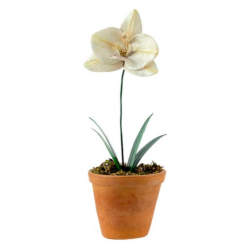 Vaso Orquídea Arabesque M
