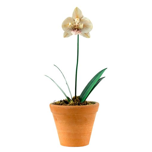 Vaso Orquídea Arabesque P