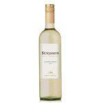 Vinho Benjamin Nieto Chardonnay Branco - Argentina - 750ml