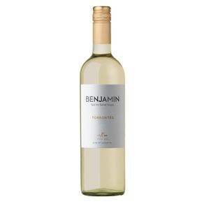 Vinho Branco Benjamin Nieto Torrontés 750ml