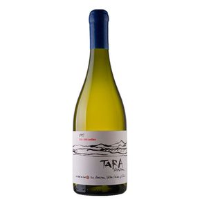Vinho Branco Chileno Ventisquero Tara Chardonnay 750ml