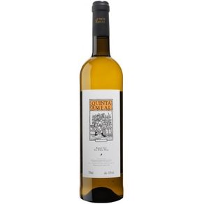 Vinho Branco Português Quinta do Ameal Clássico Loureiro 750ml