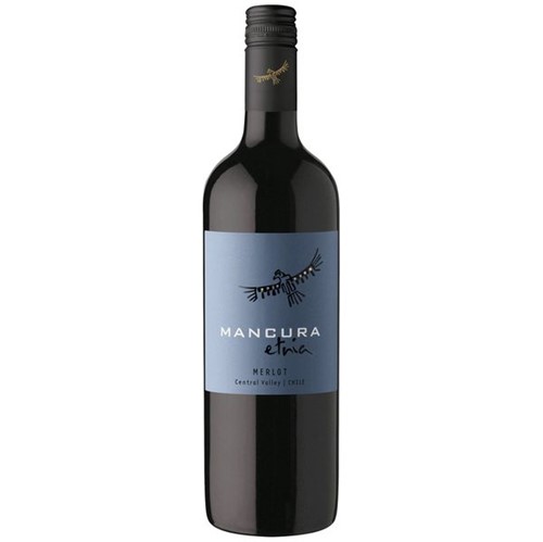 Vinho Chileno Mancura Etnia 750ml Merlot
