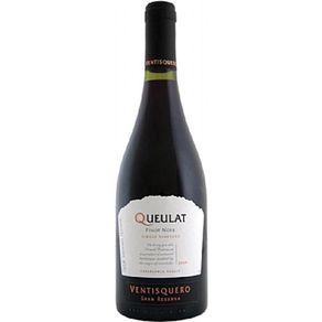 Vinho Tinto Chileno Ventisquero Queulat Pinot Noir 750ml