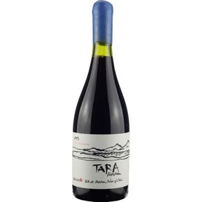 Vinho Tinto Chileno Ventisquero Tara Red Wine 2 750ml