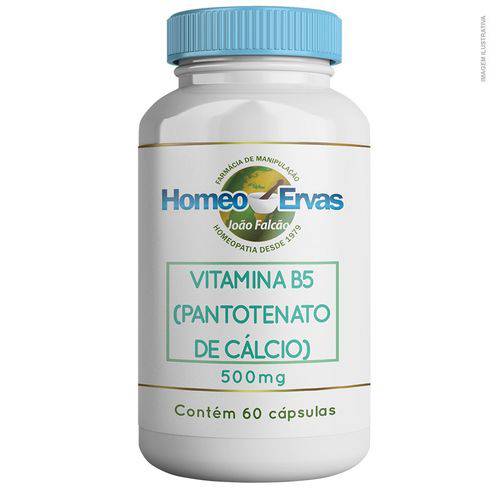 Vitamina B5 (pantotenato de Cálcio) 500mg