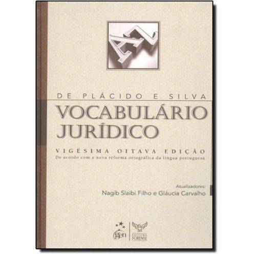 Vocabulário Jurídico - 28 Ed. 2009 (Novo: 9788530936440)