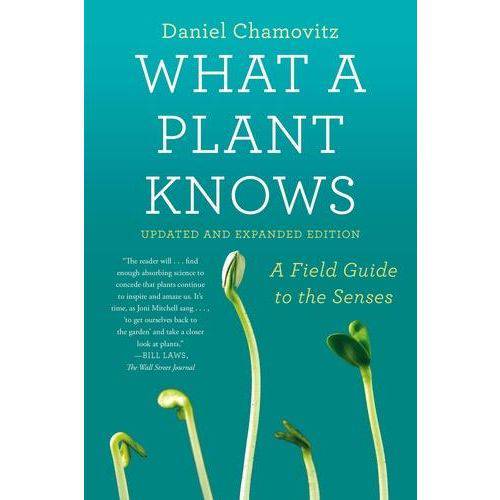 What a Plant Knows
