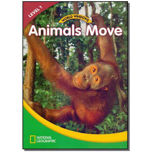 World Windows 1 - Animals Move