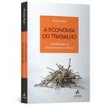A Economia do Trabalho: Qualificação e Segmentação no Brasil