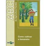 ABC da Agricultura Familiar: Como Cultivar a Bananeira
