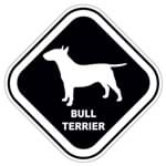 Adesivo Bull Terrier