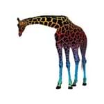Adesivo de Parede Infantil Sala Quarto Girafa Gira 1,40m X 1,33m AI12016