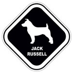 Adesivo Jack Russell