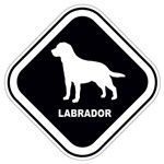 Adesivo Labrador