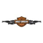 Adesivo para Tanque Moto Harley Davidson Resinado Cinza 2