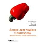 Álgebra Linear Numérica e Computacional - Métodos de Krylov para a Solução de Sistemas Lineares