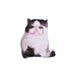 Almofada com Formato de Gato - Fofinha e Confortável