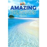 Amazing Beaches - Level 5 - Series Our World
