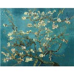 Amendoeira em Flor - Van Gogh - Tela 30x38 para Quadro