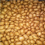 Amendoim Japonês (Granel 100g)