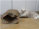 Arranhador e Brinquedo Interativo para Gatos Mini Cat Box - Borboletas