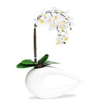 Arranjo de Flores Orquideas Brancas Vaso Branco Contemporaneo
