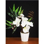 Arranjo de Orquídeas Artificiais Brancas Lith - Flores Arranjo Vasos Festas Mesas
