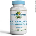 Astragalus Membranaceus 500mg 60 Cápsulas