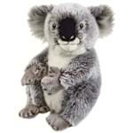 Baby Australia Coala - National Geographic