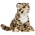 Baby Felini Big Cats Leopardo - National Geographic