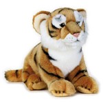 Baby Felini Big Cats Tigre - National Geographic