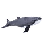 Baby Oceano Baleia Azul - National Geographic
