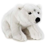 Baby Polar Urso Polar - National Geographic