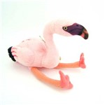 Baby Savana Flamingo - National Geographic