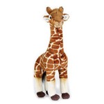 Baby Savana Girafa - National Geographic