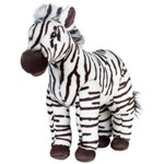 Baby Savana Zebra - National Geographic
