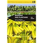 Bananas And Plantains
