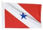 Bandeira de Pará