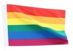Bandeira Oficial LGBT