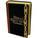 Bíblia de Estudo Colorida Letra Grande NVI Preta e Marrom